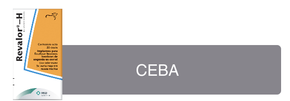 ceba-boton